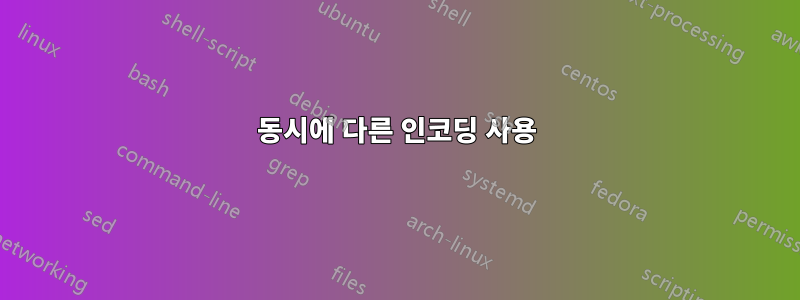 동시에 다른 인코딩 사용