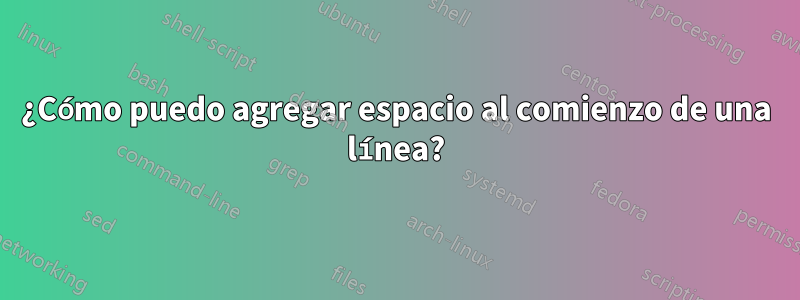 ¿Cómo puedo agregar espacio al comienzo de una línea?