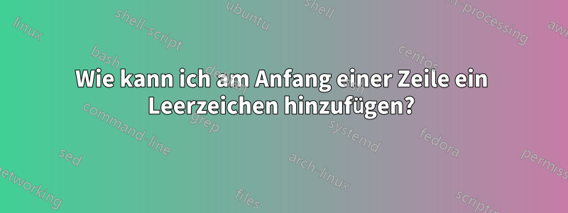 Wie kann ich am Anfang einer Zeile ein Leerzeichen hinzufügen?