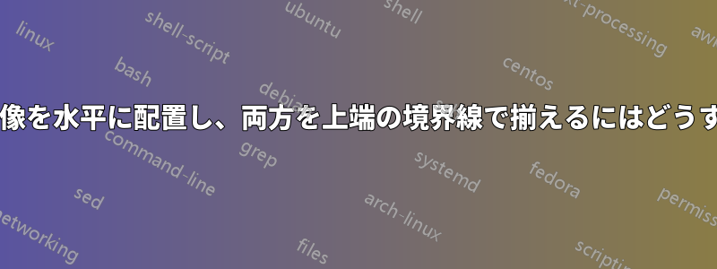 逐語的テストの横に画像を水平に配置し、両方を上端の境界線で揃えるにはどうすればよいでしょうか?