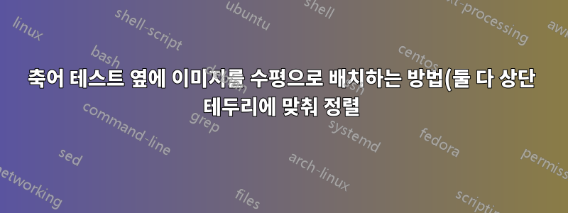 축어 테스트 옆에 이미지를 수평으로 배치하는 방법(둘 다 상단 테두리에 맞춰 정렬)은 무엇입니까?