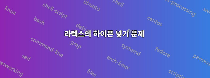 라텍스의 하이픈 넣기 문제