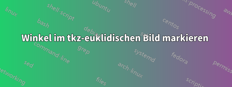 Winkel im tkz-euklidischen Bild markieren