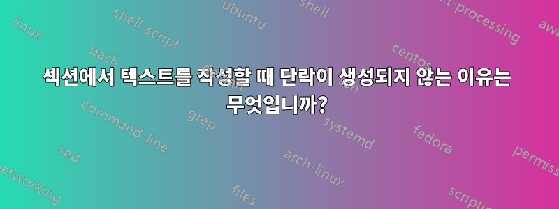 섹션에서 텍스트를 작성할 때 단락이 생성되지 않는 이유는 무엇입니까?