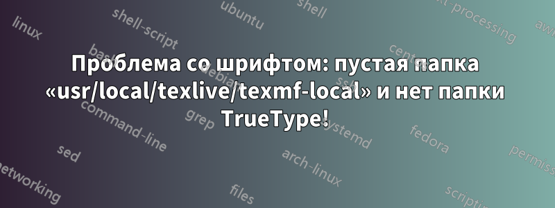 Проблема со шрифтом: пустая папка «usr/local/texlive/texmf-local» и нет папки TrueType!