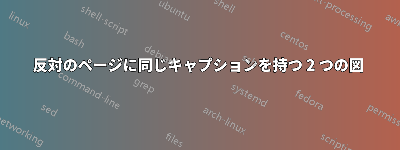 反対のページに同じキャプションを持つ 2 つの図