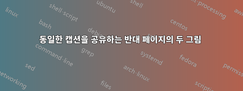 동일한 캡션을 공유하는 반대 페이지의 두 그림