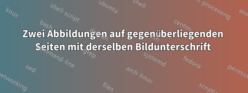 Zwei Abbildungen auf gegenüberliegenden Seiten mit derselben Bildunterschrift