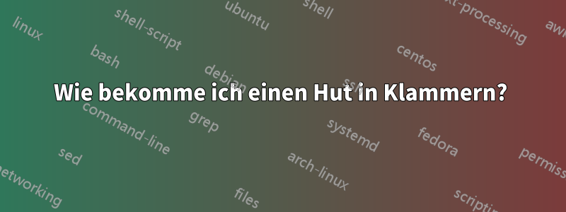 Wie bekomme ich einen Hut in Klammern?