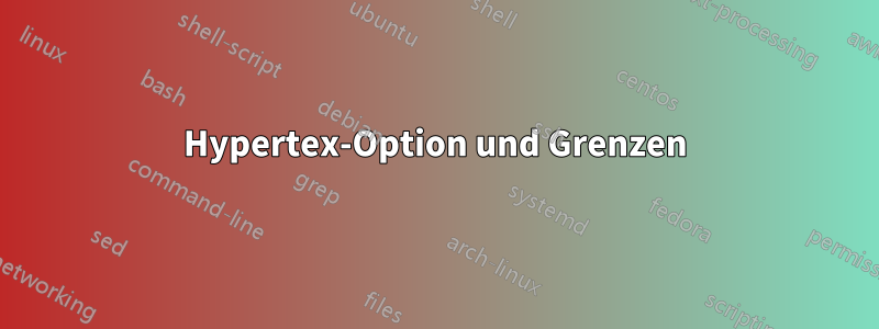 Hypertex-Option und Grenzen