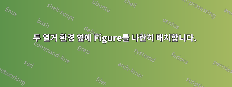 두 열거 환경 옆에 Figure를 나란히 배치합니다.