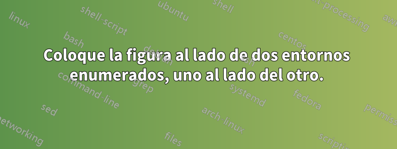 Coloque la figura al lado de dos entornos enumerados, uno al lado del otro.