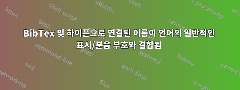 BibTex 및 하이픈으로 연결된 이름이 언어의 일반적인 표시/분음 부호와 결합됨
