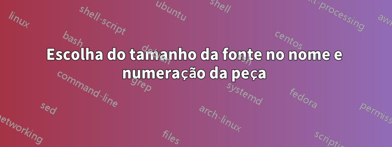 Escolha do tamanho da fonte no nome e numeração da peça