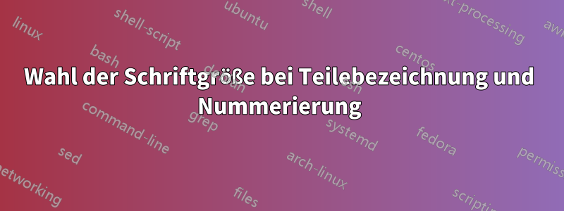Wahl der Schriftgröße bei Teilebezeichnung und Nummerierung