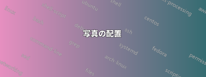 写真の配置
