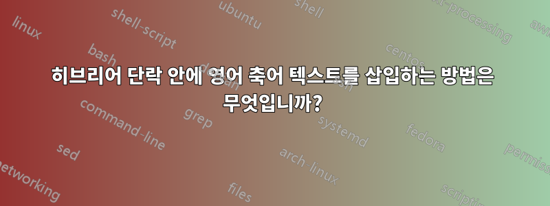 히브리어 단락 안에 영어 축어 텍스트를 삽입하는 방법은 무엇입니까?