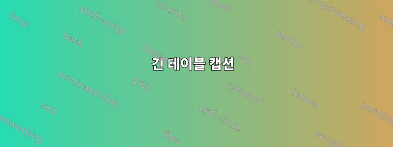 긴 테이블 캡션 