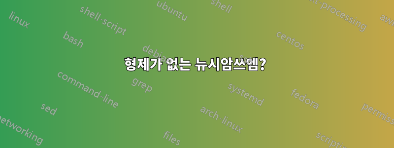 형제가 없는 뉴시암쓰엠?