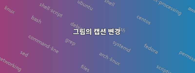 그림의 캡션 변경