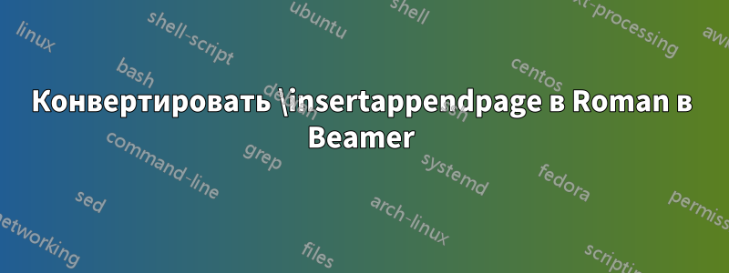 Конвертировать \insertappendpage в Roman в Beamer