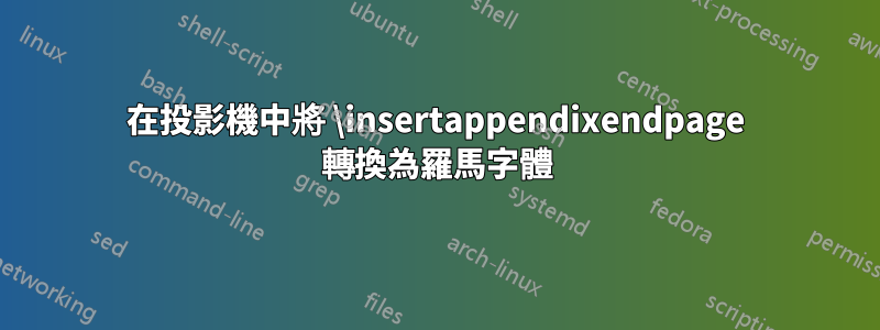 在投影機中將 \insertappendixendpage 轉換為羅馬字體