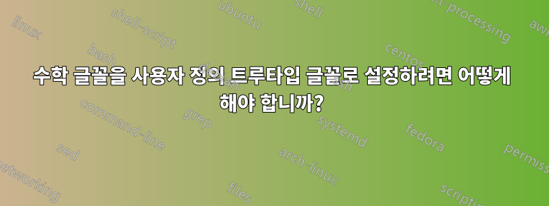 수학 글꼴을 사용자 정의 트루타입 글꼴로 설정하려면 어떻게 해야 합니까?