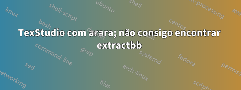 TexStudio com arara; não consigo encontrar extractbb