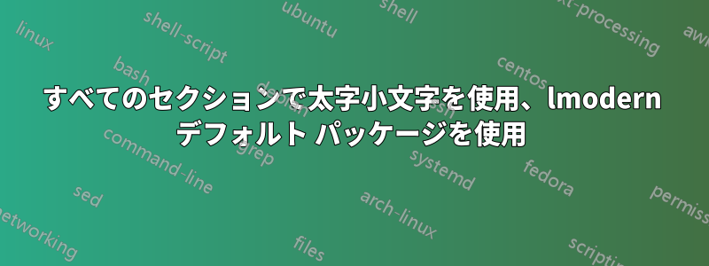 すべてのセクションで太字小文字を使用、lmodern デフォルト パッケージを使用