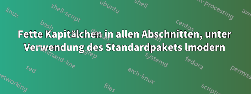 Fette Kapitälchen in allen Abschnitten, unter Verwendung des Standardpakets lmodern