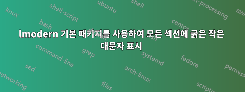 lmodern 기본 패키지를 사용하여 모든 섹션에 굵은 작은 대문자 표시