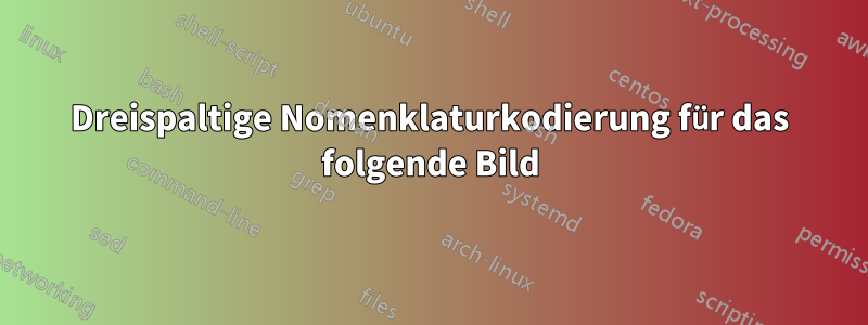 Dreispaltige Nomenklaturkodierung für das folgende Bild