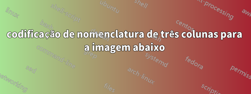 codificação de nomenclatura de três colunas para a imagem abaixo