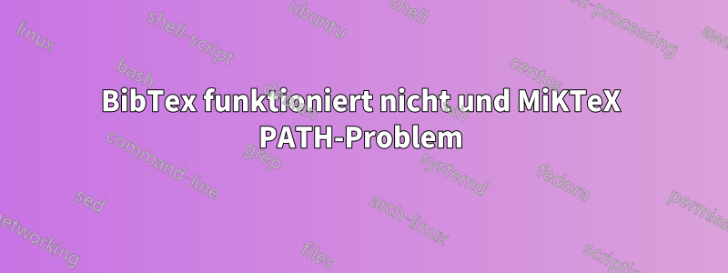 BibTex funktioniert nicht und MiKTeX PATH-Problem