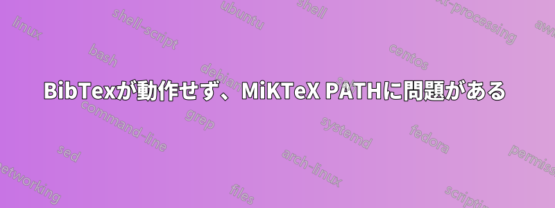 BibTexが動作せず、MiKTeX PATHに問題がある