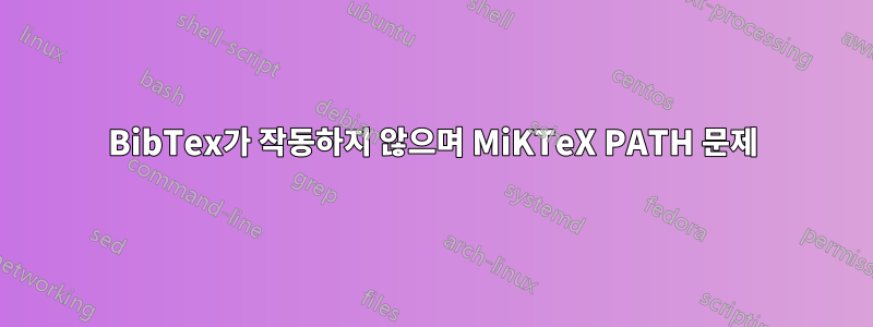 BibTex가 작동하지 않으며 MiKTeX PATH 문제