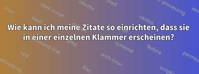 Wie kann ich meine Zitate so einrichten, dass sie in einer einzelnen Klammer erscheinen?