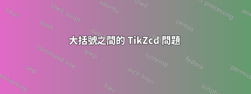 大括號之間的 TikZcd 問題