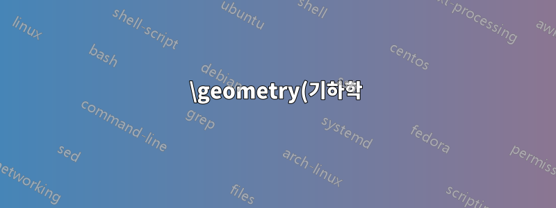 \geometry(기하학)로 설정된 레이아웃 인수를 \includepdf[(pdfpages)에 적용합니다.