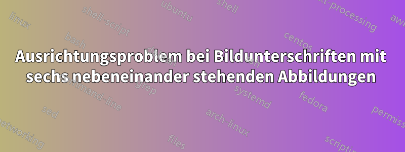 Ausrichtungsproblem bei Bildunterschriften mit sechs nebeneinander stehenden Abbildungen