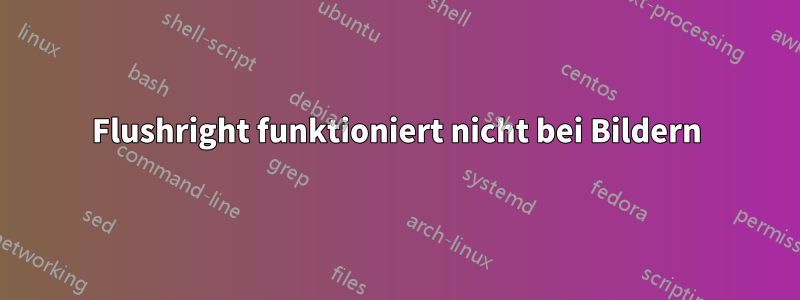 Flushright funktioniert nicht bei Bildern