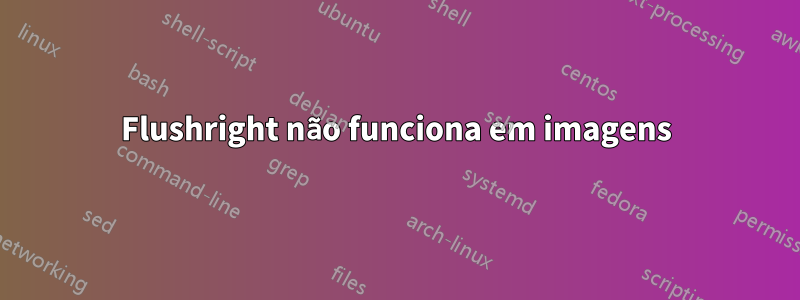 Flushright não funciona em imagens