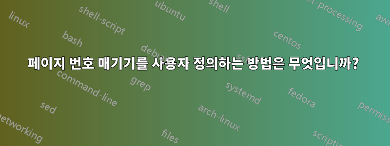 페이지 번호 매기기를 사용자 정의하는 방법은 무엇입니까?