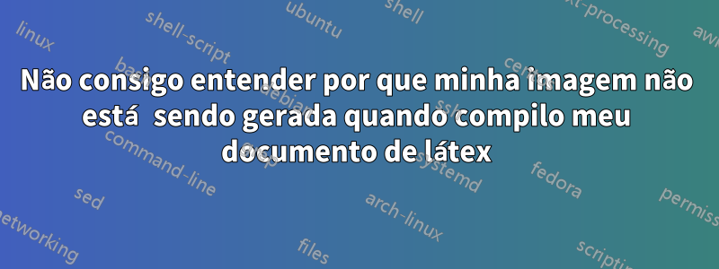 Não consigo entender por que minha imagem não está sendo gerada quando compilo meu documento de látex