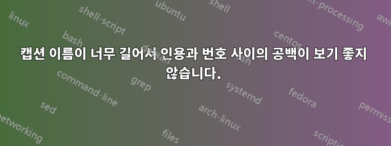 캡션 이름이 너무 길어서 인용과 번호 사이의 공백이 보기 좋지 않습니다.