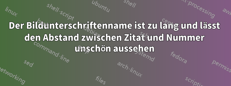 Der Bildunterschriftenname ist zu lang und lässt den Abstand zwischen Zitat und Nummer unschön aussehen