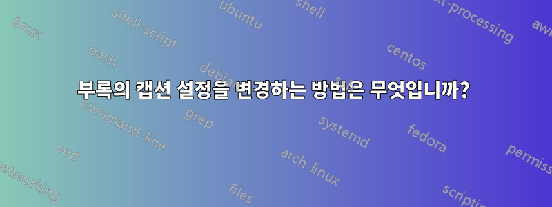 부록의 캡션 설정을 변경하는 방법은 무엇입니까?