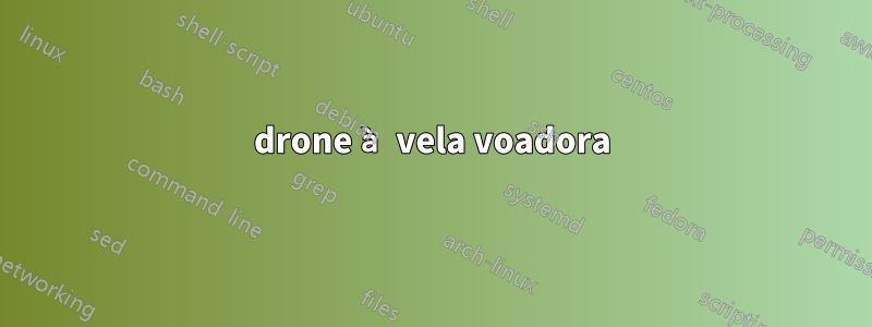 drone à vela voadora