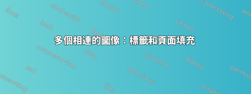 多個相連的圖像：標籤和頁面填充