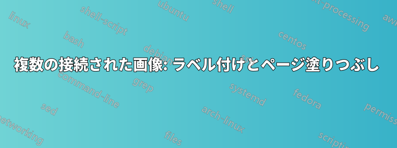 複数の接続された画像: ラベル付けとページ塗りつぶし